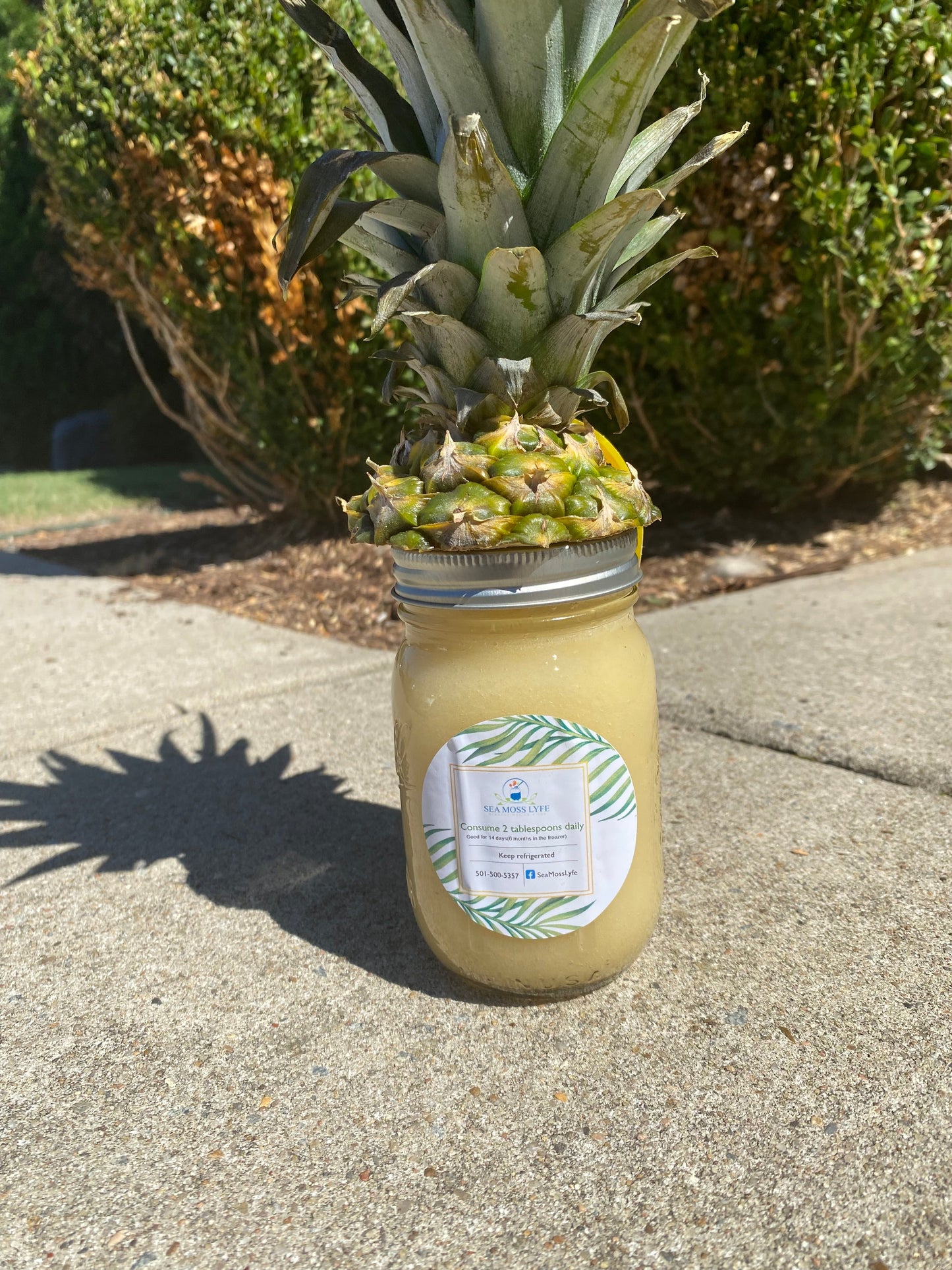 Pineapple Sea Moss Gel 16oz