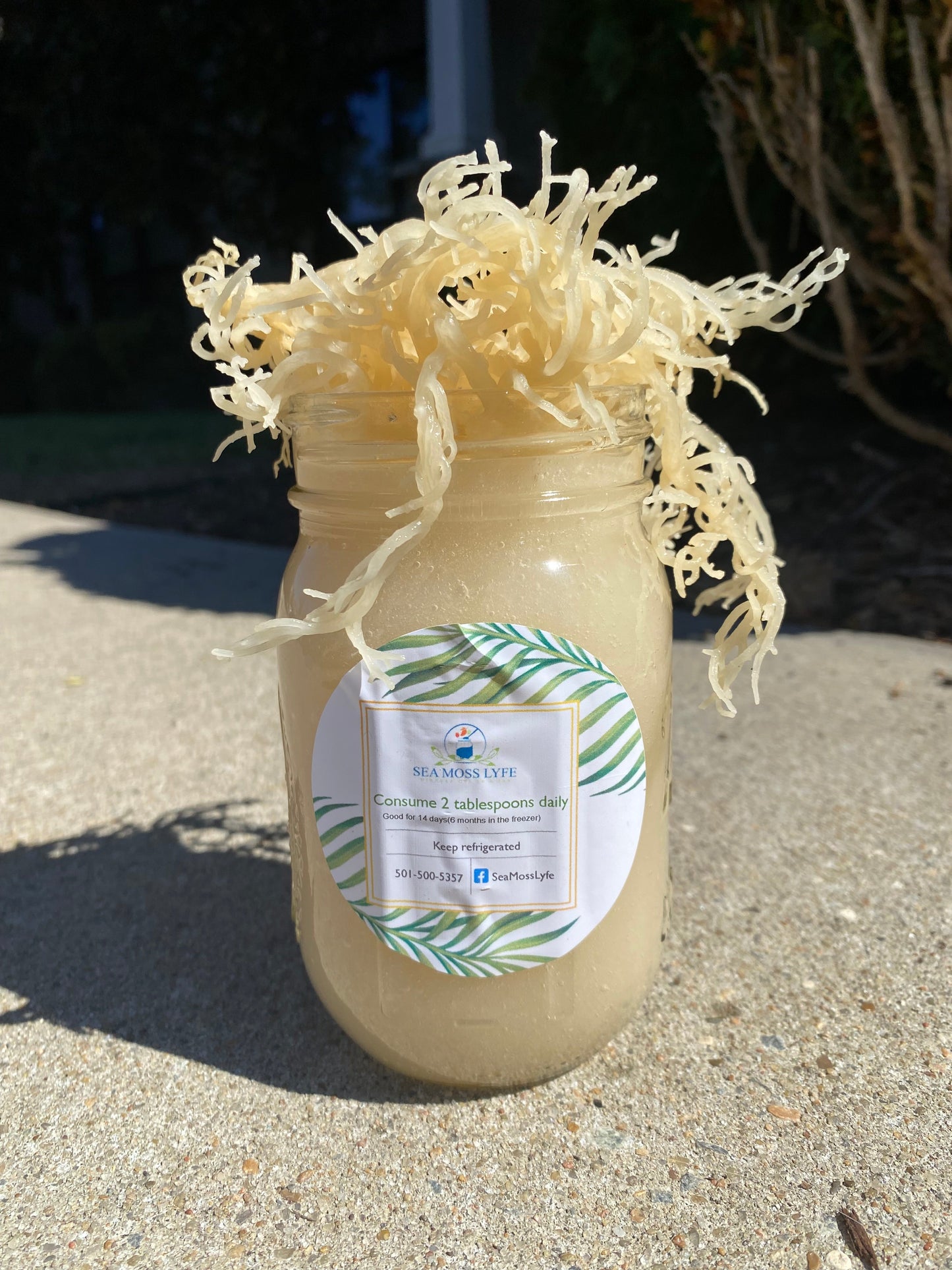 Plain Sea Moss Gel   16oz