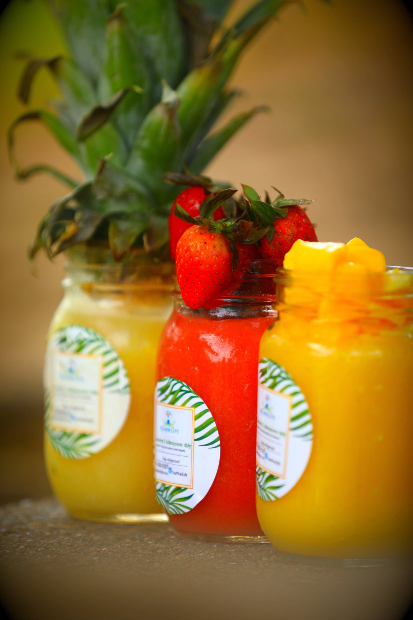 Island Vibes Trio Bundle